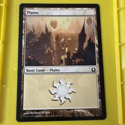 MTG Plains Return to Ravnica 253/274 Regular Land - Image 1