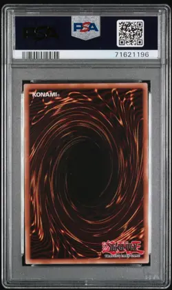 Blue-Eyes White Dragon *PSA 10* JUMP-EN068 * Ultra Rare * 2014 * Yugioh - Image 2