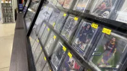 Legion Loyalist - Gatecrash 97/249 MTG Great Condition Minimal Play NM - Image 3