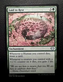 MTG Magic the Gathering Laid to Rest (207/561) Innistrad Crimson Vow VLP - Image 1