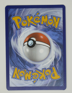 Phanpy 205/191 Surging Sparks Illustration Rare Full Art Pokemon Card - Image 2