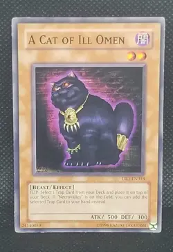 A Cat of Ill Omen - DR1-EN018 - Common - Unlimited Edition - Moderately Played - Image 1