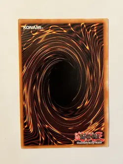 Black Rose Dragon (Quarter Century Secret Rare) TN23-EN014 25th Anniversary Tin: - Image 2