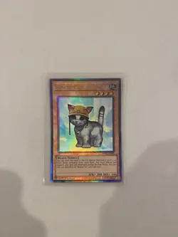 Yugioh Rescue Cat RA02-EN001 Ultimate Rare 1st Ed NM - Image 1