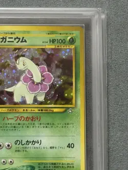 ARS10 with Certificate Meganium Old Back Holo Premium File Pokemon Card Japanese - Image 5