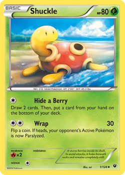 Shuckle (1/124) XY: Fates Collide​ - Near Mint Reverse Holofoil Pokemon TCG - Image 1