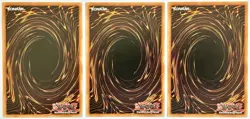 3 x SDCK-EN013 Wandering King Wildwind - Common 1st Ed Near Mint YuGiOh Card - Image 2