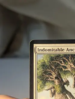 MTG: Indomitable Ancients: Morningtide: Rare: LP. - Image 4