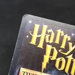 Harry Potter 10/116 Hermione Granger Base Set Holo Foil Trading Card Game 2001 - Image 5