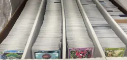 10000 Pokemon Cards | Bulk Lot - Commons, Uncommons & Rares! No Energies! - Image 1