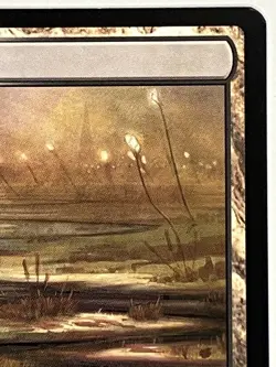 Marsh Flats LP Modern Horizons 2 248/303 Magic: the Gathering MTG Regular - Image 4