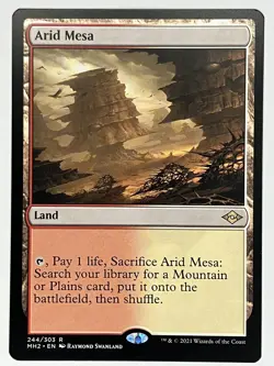 Arid Mesa NM Modern Horizons 2 244/303 Magic: the Gathering MTG Regular - Image 1