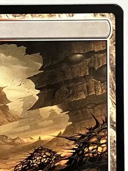 Arid Mesa NM Modern Horizons 2 244/303 Magic: the Gathering MTG Regular - Image 4