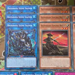 21 card Ragnaraika LEDE/INFO/ROTA Common Core Mint YuGiOh inc. Selene & Woe - Image 2