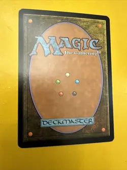 MTG - Seedcradle Witch - FOIL - Shadowmoor - NM/MT - Brandy New! - Image 2