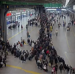 MTG - Seedcradle Witch - FOIL - Shadowmoor - NM/MT - Brandy New! - Image 3