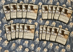 Tempest Hawk x20 (English) Tarkir: Dragonstorm Set MTG - Image 1