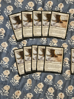 Tempest Hawk x20 (English) Tarkir: Dragonstorm Set MTG - Image 2