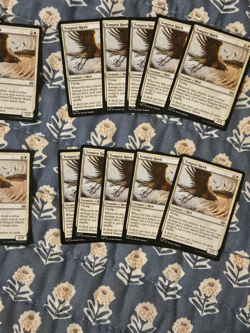 Tempest Hawk x20 (English) Tarkir: Dragonstorm Set MTG - Image 3