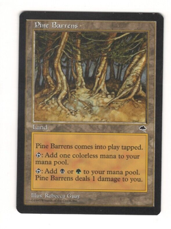 MtG - Pine Barrens - Tempest - x1 card - LP - Image 1
