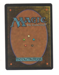 MtG - Pine Barrens - Tempest - x1 card - LP - Image 2