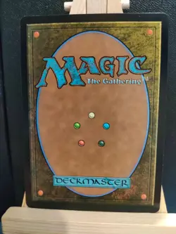 Forest 0291 - Dragon Eye Land - Tarkir Dragonstorm - NM (see pics) MTG - Image 2