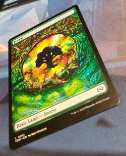 Forest 0291 - Dragon Eye Land - Tarkir Dragonstorm - NM (see pics) MTG - Image 3