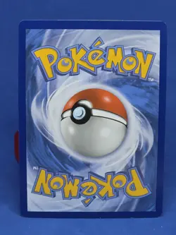 Squirtle Reverse Holo 33/214 Unbroken Bonds Pokemon Card Tcg Ccg 2019 - Image 2
