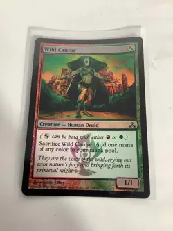 MTG Magic The Gathering Wild Cantor Guildpact 149/165 Common Foil M/NM - Image 1