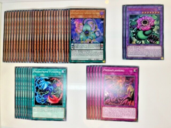 Yugioh Competitive Predaplant Deck + Extra Deck + Bonus Gift - Image 1