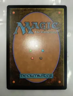 [SC] mc99 Mtg Fantasy Japanese Absorption Into Time - Image 2