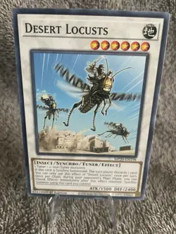 Yugioh! Desert Locusts - MP20-EN198 - Common - 1st Edition Near Mint, English - Image 1