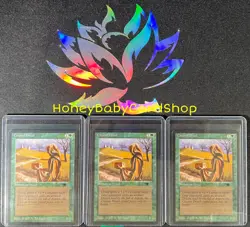 MTG Antiquities 1994 Citanul Druid NM x 3 Cards ATQ Uncommon Old School 93/94 - Image 1