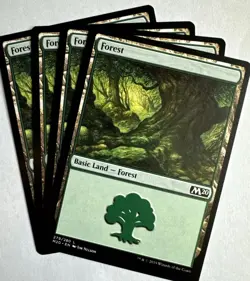 4x Forest | Basic Land 279/280 | M20 Core Set 2020 | MTG Magic Cards - Image 1