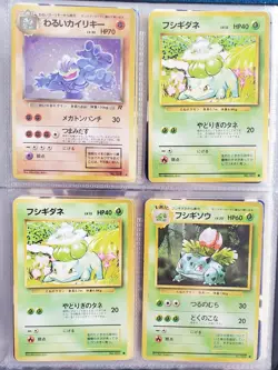 Pokemon Card Lot - 9 Holos - Vintage Binder WOTC - Image 3