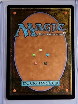 2025 MTG Magic The Gathering SLD Secret Lair Borderless Foil 2039 Soul-Scar Mage - Image 2