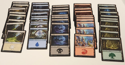 50X Lands ELD MTG Wilds of Eldraine (10 of each basic land type) - Image 1