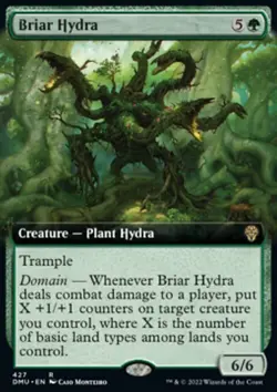 MTG Magic the Gathering Briar Hydra (427/447) Dominaria United NM - Image 1
