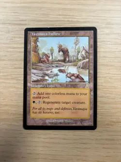 Yavimaya Hollow Urza's Destiny Magic The Gathering MTG Card NM - Image 1