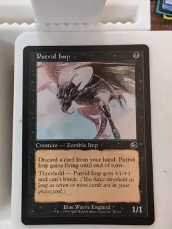 Putrid Imp Torment Regular MTG - Image 1