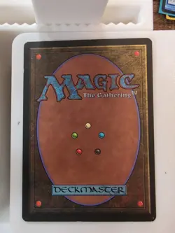 Rainbow Vale Fallen Empires MTG Land - Image 2