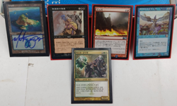 Signed Island Land 1993 MTG Magic! Foreign Cards Lot - Image 1