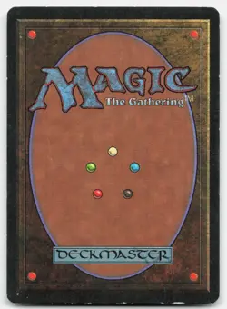 MTG Forest (A) L Revised Edition 284 MP - Image 2