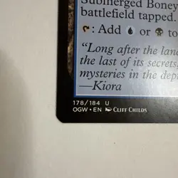 MTG Magic The Gathering Card Submerged Boneyard Land ZNC Zendikar Rising Command - Image 2