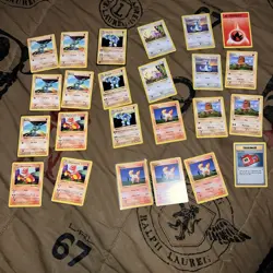 Pokemon TCG Lot Of 24 Cards Brand New Never Played Just Open Starter Pack ￼ - Image 1