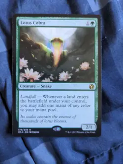 Lotus Cobra Iconic Masters Regular - Image 1