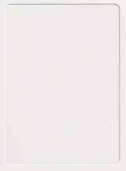 Signed Alpha Status Proof HP Scourge Artist Darrell Riche 2003 WOTC MTG Magic AP - Image 2