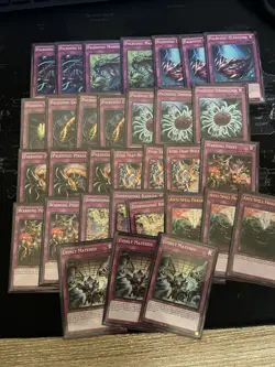Yu-gi-oh Paleozoic Frog Deck Yugioh Cards - Image 3