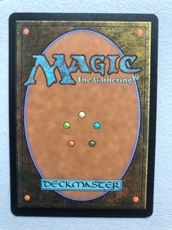 Mtg Carte Magic Future Sight Delay Retard French LP (A) - Image 2