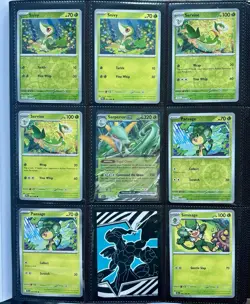 Pokemon Black Bolt (142 Card Lot) IR/Promo/Ex/Pokeball & Reverse Holos + Binder - Image 2